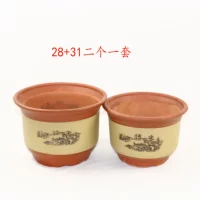 28+31 два набора