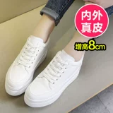 忕槠 忕槠 忕槠 闉  嫔 嫔 鐪熺 毊 鍐呭    コ闉 コ闉 コ闉 コ闉 コ闉 澧 铡 氩 鏉 簳 硶绉 棽 棽 灏 忛 忛 粦 粦 粦 粦 粦忛 忛 忛 忛