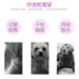 7.9 Sims Pet Dog Gel tắm Gel Dog Dầu gội đầu Teddy Golden Hair Bomei 450ml - Cat / Dog Beauty & Cleaning Supplies găng tay chải lông rụng chó mèo Cat / Dog Beauty & Cleaning Supplies