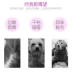 7.9 Sims Pet Dog Gel tắm Gel Dog Dầu gội đầu Teddy Golden Hair Bomei 450ml - Cat / Dog Beauty & Cleaning Supplies