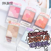 Nhật bản Jingtian CANMAKE năm-màu cánh hoa khắc ngọc trai blush blush matte sửa chữa công suất cao-gloss powder brush