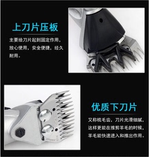 Ножницы 新款剪羊毛的电推子大功率电动剪毛机羊毛剪子电动推子剃羊毛剪刀