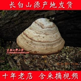 Горная гора Чанбай Чистое натуральное дикое дикое ганодерма деревянный хорчус 500 грамм подковообразных сухих товаров Linzhi разрезание на куски