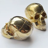 Быки производили оригинальный дизайн чистый бронзовый реалистичный череп бронзовый череп, чтобы воспроизводить фоновые украшения, собранные бесплатную доставку