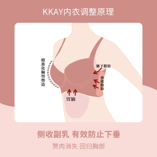 Ккайское маленькое нижнее белье для груди самки собирается и регулирует расширение головного мозга и пары груди на верхней поддержке, поддерживающей опадение