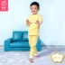 Shu Shu cotton đồ lót trẻ em đặt trong quần áo bé trai cotton mùa thu quần áo bé trai và bé gái phục vụ tại nhà quần áo cho bé trai Quần áo lót