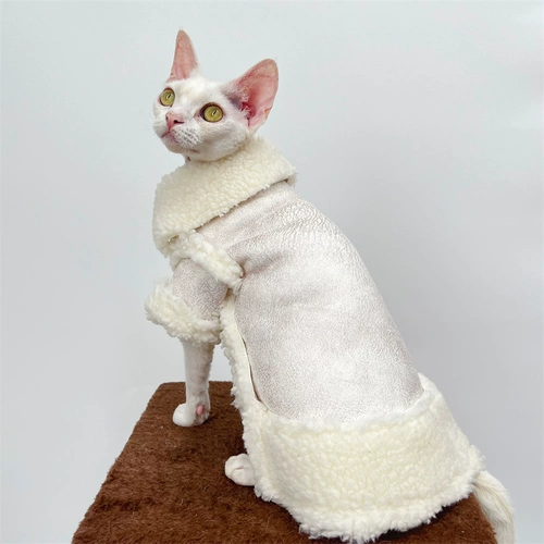 Восемь -летняя магазин шесть размеров безволосочной одежды для кошачьего сафакса в зимней сгущенной коже оленя кожа.