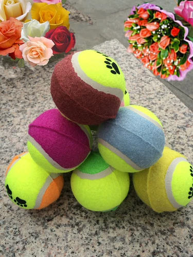 Игрушка для домашних животных, поставки для тренировок с теннисными собаками, измельчение зубов, патрулирование мяча, золотая лихта, маленькая собака Tedsamier