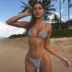 In ấn gợi cảm AliExpress EBAY Châu Âu và Hoa Kỳ in bikini 2018N áo tắm chia BIKINI