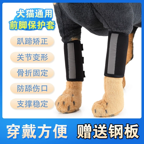 Платные собаки и перелома кошки фанерная передняя часть, заполняющая нога, защитный комплект, ремешок для восстановления, ремешок с фиксированной коррекцией Защитное снаряжение