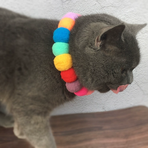 Кошачье цветовое покрытие шпон шерсть шерсть шариковые круги щенки щенки щенки котенок сетка красное домашнее животное фото ювелирные украшения Бесплатная доставка