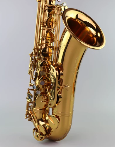 Lun Daofu Bye Brcs, Saxak Sax Ducts R3 Профессиональный класс Performance Class Antique Bronze Saxophone