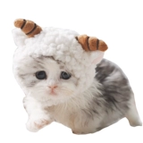 Шлем, милый кролик, шапка, кукла с аксессуарами, популярно в интернете, кот