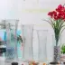 Bình thủy tinh - Vase / Bồn hoa & Kệ