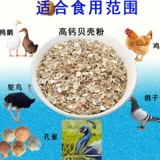 Курица натурального порошка для порошкового порошка с высоким содержанием голубей с высоким содержанием голубей.