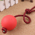 Dog Cat Golden Retriever Cao su cắn rắn Bouncy Ball Rope Bouncy Ball Đào tạo Đồ chơi thú cưng vui nhộn đồ chơi thú cưng Mèo / Chó Đồ chơi