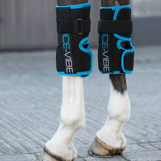Защита для ног 爱尔兰horsewares电动马护膝保护马腿膝盖带冰袋震动按摩防止胀筋