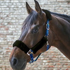 Недоуздок 英国shires羊毛牵马笼头马龙套保护马鼻子加绒马笼头加厚舒适耐用