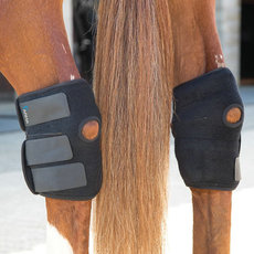 Защита для ног 英国arma马护腿热敷冷敷马护腿马绑腿马腿关节恢复冰敷马护腿保护