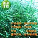Хенан Цзяозуо загрязняет свежие дикие тростник