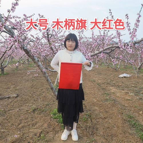 Детский детский сад Liuyi во время класса для утренних упражнений, Dance Red Color Flag, маленький флаг рук встряхните деревянную ручку большую