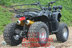 Quốc gia ATV Bull Bull ATV 125cc bốn bánh xe gắn máy bị vô hiệu hóa đặc biệt xe thể thao xe Xe đạp quad