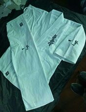 Форма для каратэ Плюс толстый полюс