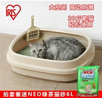 Япония радужная оболочка Алиса Алиса полузвековая однослойная кошачья кошачья кошачья туалет туалет Большой космос Высокие границы всплеск
