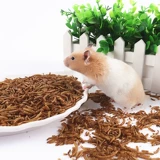 Закуски Hammel, желтый порошок, червь, зерновая лапша, сухой продукты, рыба, зерно черепах, птичья пищу 400 мл консервированных бабочек с лапшой