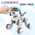 Robot thông minh đối thoại bằng giọng nói từ xa sẽ đi cậu bé thú cưng đồ chơi con chó con nhảy điện robot