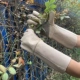Găng tay da bò chống đâm chuyên nghiệp làm vườn găng tay làm vườn chống gai