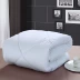 Vẻ đẹp chăn lõi cơ thể massage giường bìa 170x110cm180 * 120 lõi trắng 	chăn hè trần bông Quilts
