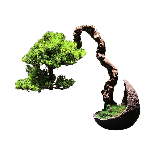 Самая восточная симуляция сосна зеленое растение Мосс Микро -Стандартное Медитация китайского стиля Японский ландшафт бонсай
