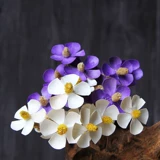 [Вайолет] Литературное и свежее домашнее украшение цветочные композиции