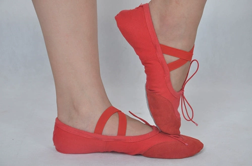 Балетные танцевальные туфли тренировочная танце