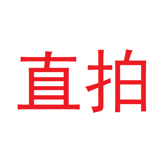 Barbone Bag Brocery Link Link