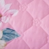 dày Hàn Quốc bông giường váy ngủ váy công chúa khăn trải giường gia đình bốn bảo vệ 1,5 1,8 m 2.0m - Váy Petti váy giường đẹp	 Váy Petti