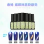 Ximei Công cụ làm móng Nail Ba Lan Gum Cat Eye Seal Bộ có thể tháo rời nhựa môi trường Ngọc bích - Công cụ Nail dụng cụ sơn gel