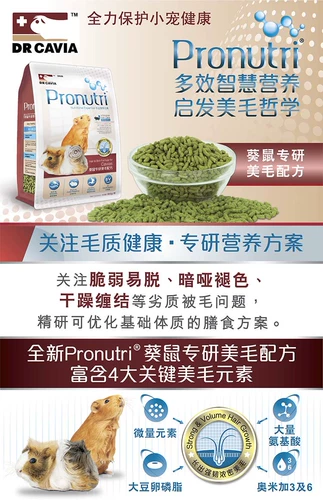 БЕСПЛАТНАЯ ДОСТАВКА Д -р Гвинея Снига, специализируясь на Meipao Fangli Grain 900G Голландская свиная пища Tennis Geogs Main Grain DR328