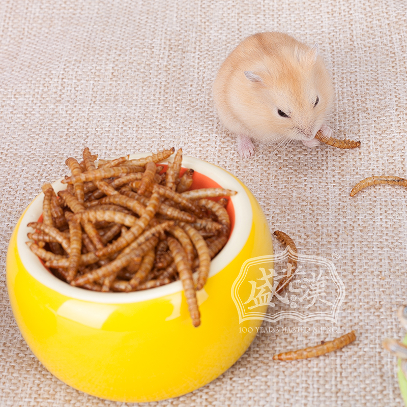 金絲熊倉鼠糧飼料零食高蛋白麵包蟲幹 3元券