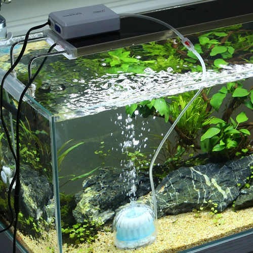 Sensen Small Filtering Equipment Aoxic Oxygen Fairy