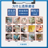 Копье кошачья носовая ветвь кошка Cat Chish Medicine Speho анти -инфляторный таблет