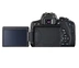 Máy ảnh DSLR kỹ thuật số độc lập Canon Canon EOS 750D thân máy ảnh nhập cảnh cấp sản phẩm mới - SLR kỹ thuật số chuyên nghiệp SLR kỹ thuật số chuyên nghiệp