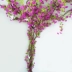Mô phỏng dài 2 mét hoa wisteria chùm cây nho dây leo trang trí hoa đậu nho giả hoa dải trang trí đám cưới ống trang trí hoa - Hoa nhân tạo / Cây / Trái cây Hoa nhân tạo / Cây / Trái cây