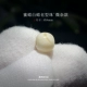 [.白蜡老型珠｜精工大孔道9mm]
