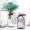 Bình thủy tinh phong cách châu Âu đơn giản bình nước cây phong phú tre thủy canh phòng khách trang trí bình hoa khô - Vase / Bồn hoa & Kệ