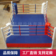 ринг 武术散打拳击台搏击格斗落地擂台比赛训练带高度拳台散打擂台