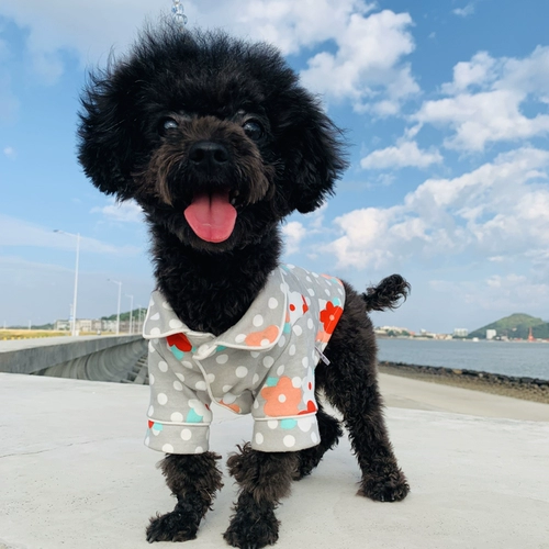 Собачья одежда пижам пижамы плюшевые бишон -бишон боевой щенок маленький собака лето кот весна лето осень Осень чистый хлопок тонкий стиль