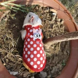 Дварф -кроличья одежда голландская свинья Торкция Тоторо тепленная одежда Дельфин и задняя грудь, кролики, голландское свиноводное пальто