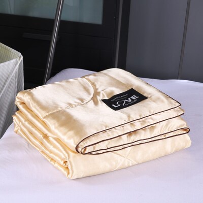可水洗蚕丝夏凉被天丝空调被冰丝夏凉被真丝纯色双面春秋薄被子_众品